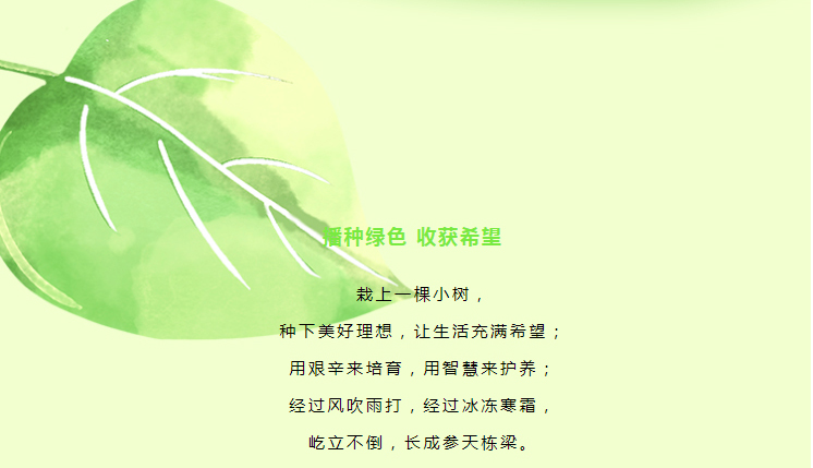 擁抱春天，播種綠色—天利熱工植樹活動_01